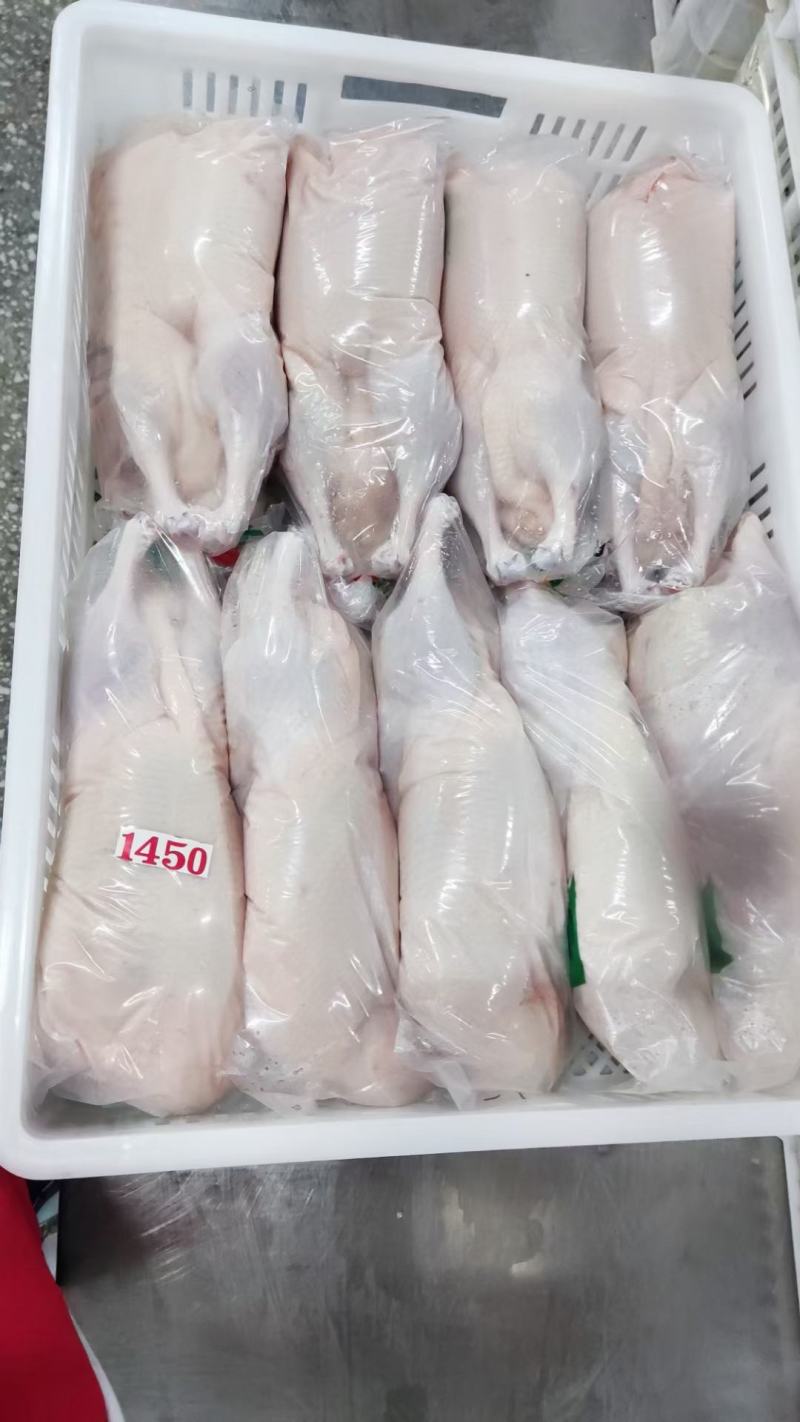 白条鸭各种规格都有货处理干净工厂直发全新货