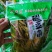 酸豆角