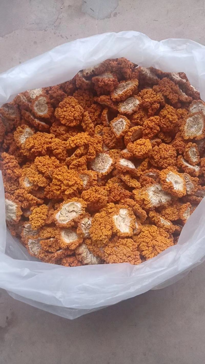 基地直供金耳，产地直发，货源充足品质保证，全国发货