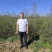 酸枣树苗