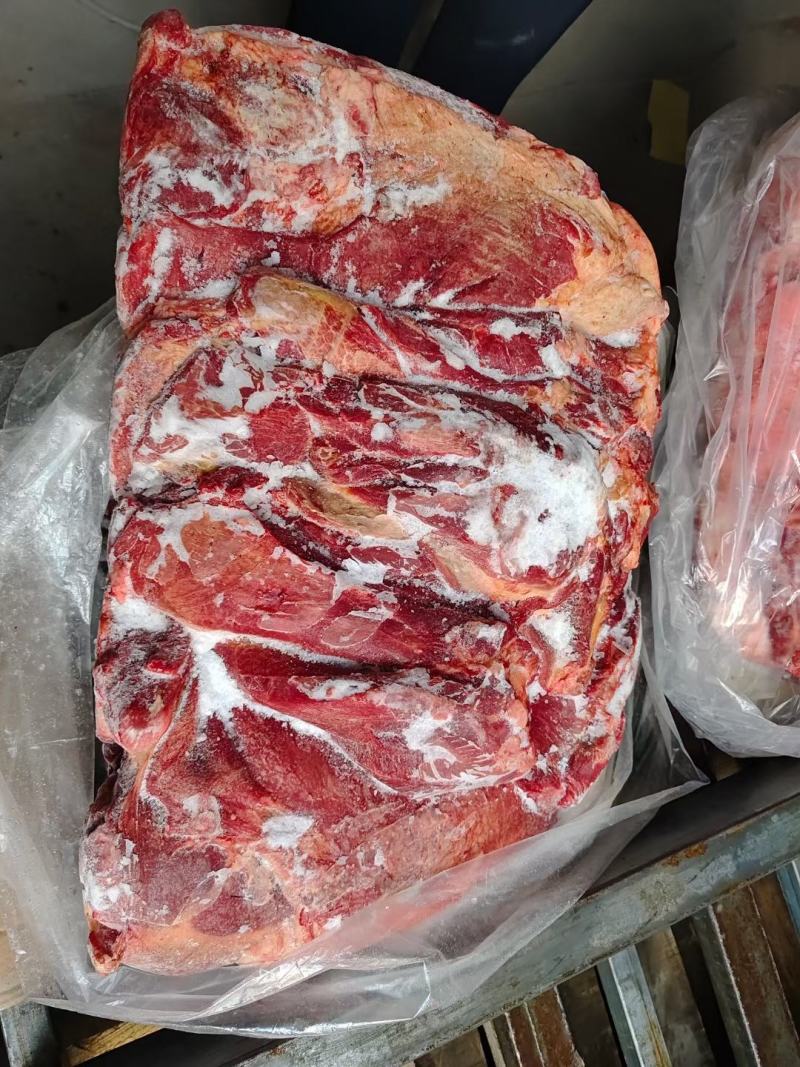 马肉各种品质各种价位，大量现货库存适合各种用户需求