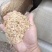 广西百色压缩稻壳,养殖垫料,饲料加工,腐熟基质