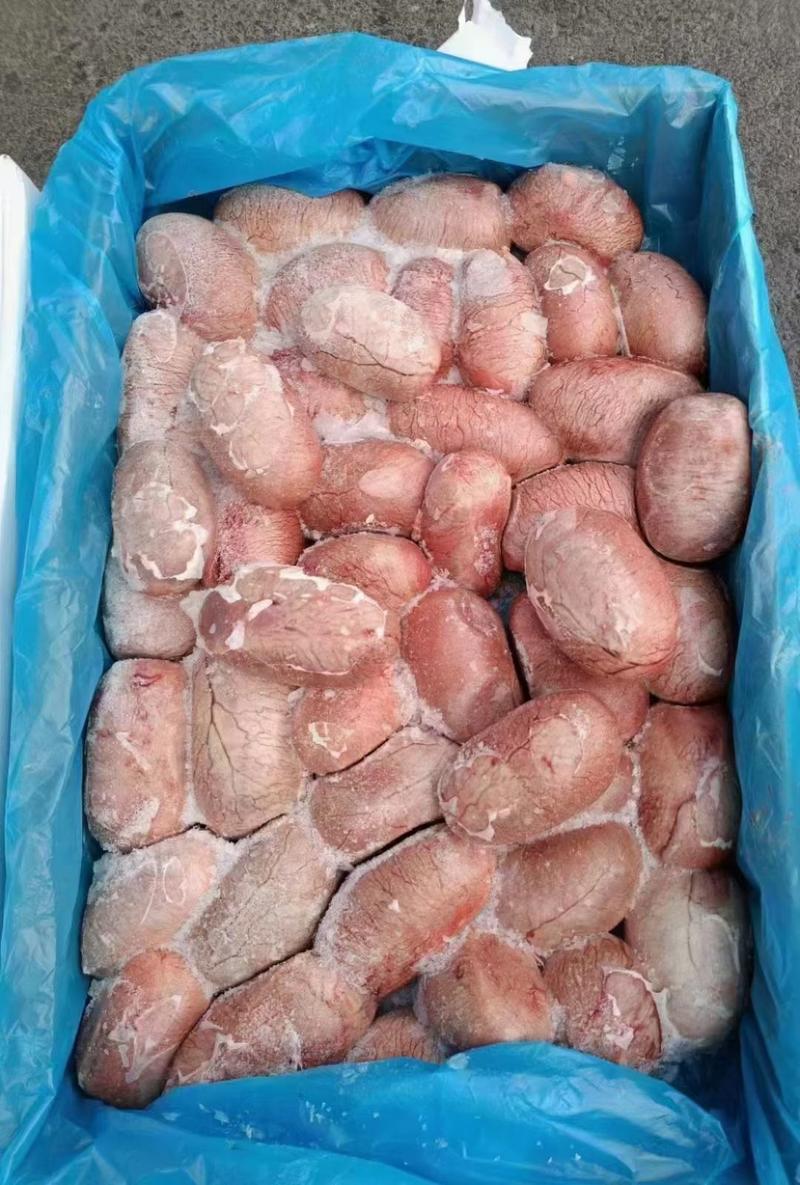 纯干无冰猪宝一件净重20斤大小均匀全国发货