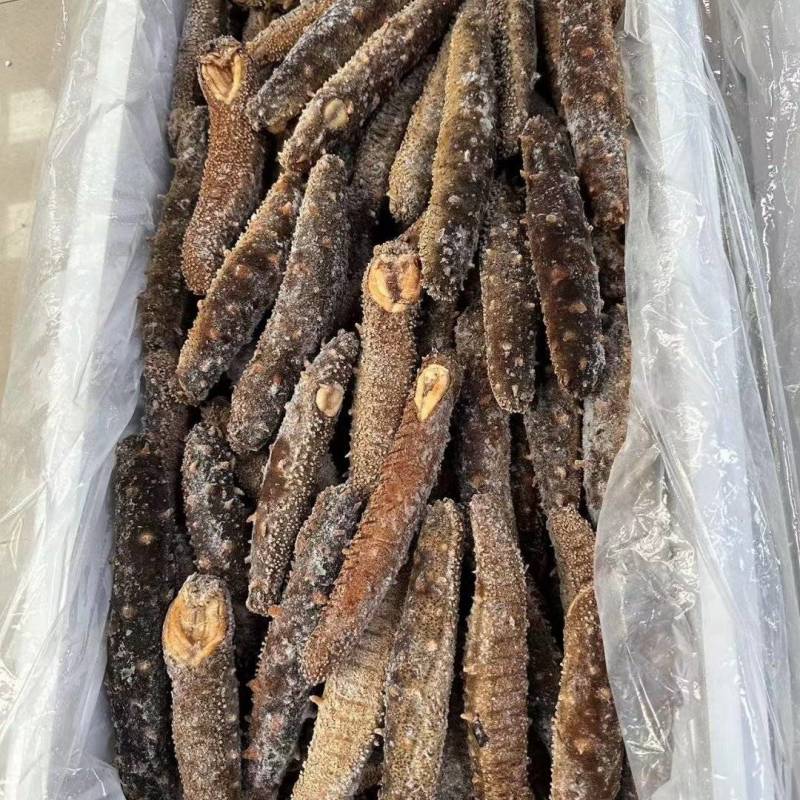 阿拉斯加冻煮海参，阿拉斯加原货