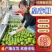 广东皇帝柑，新货上市，承接电商团购，代收代发全国
