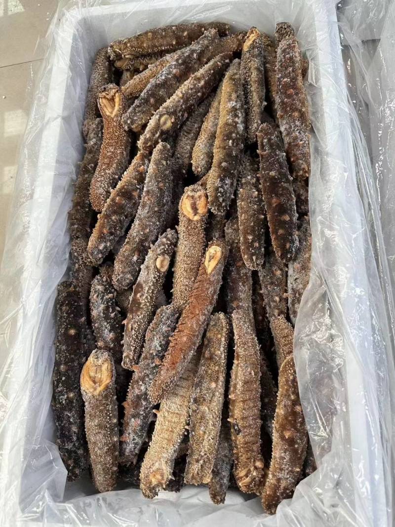 阿拉斯加冻煮海参，阿拉斯加原货