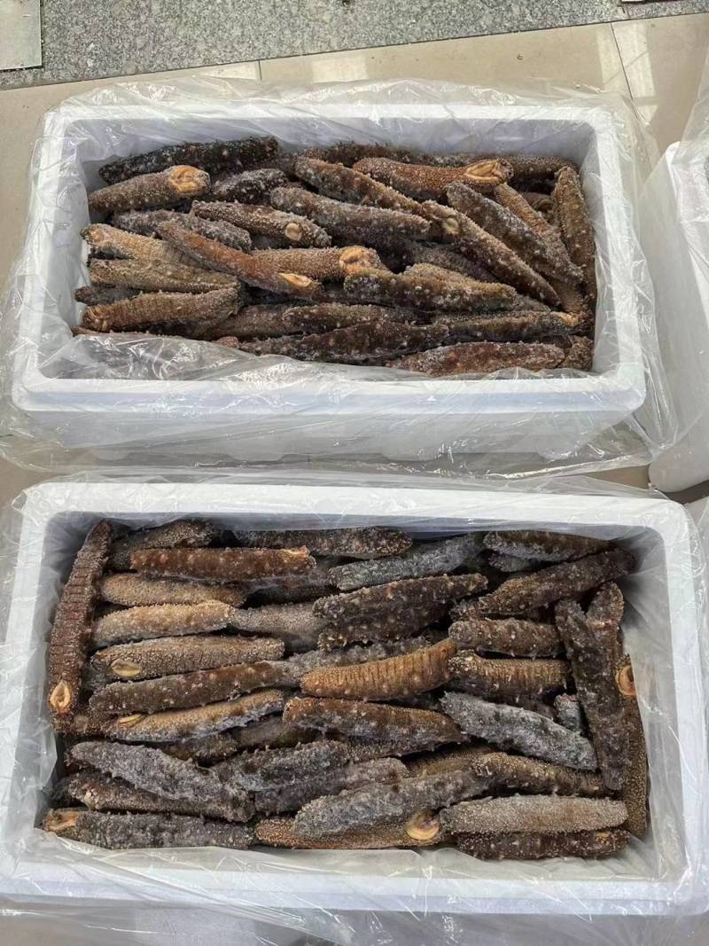 阿拉斯加冻煮海参，阿拉斯加原货