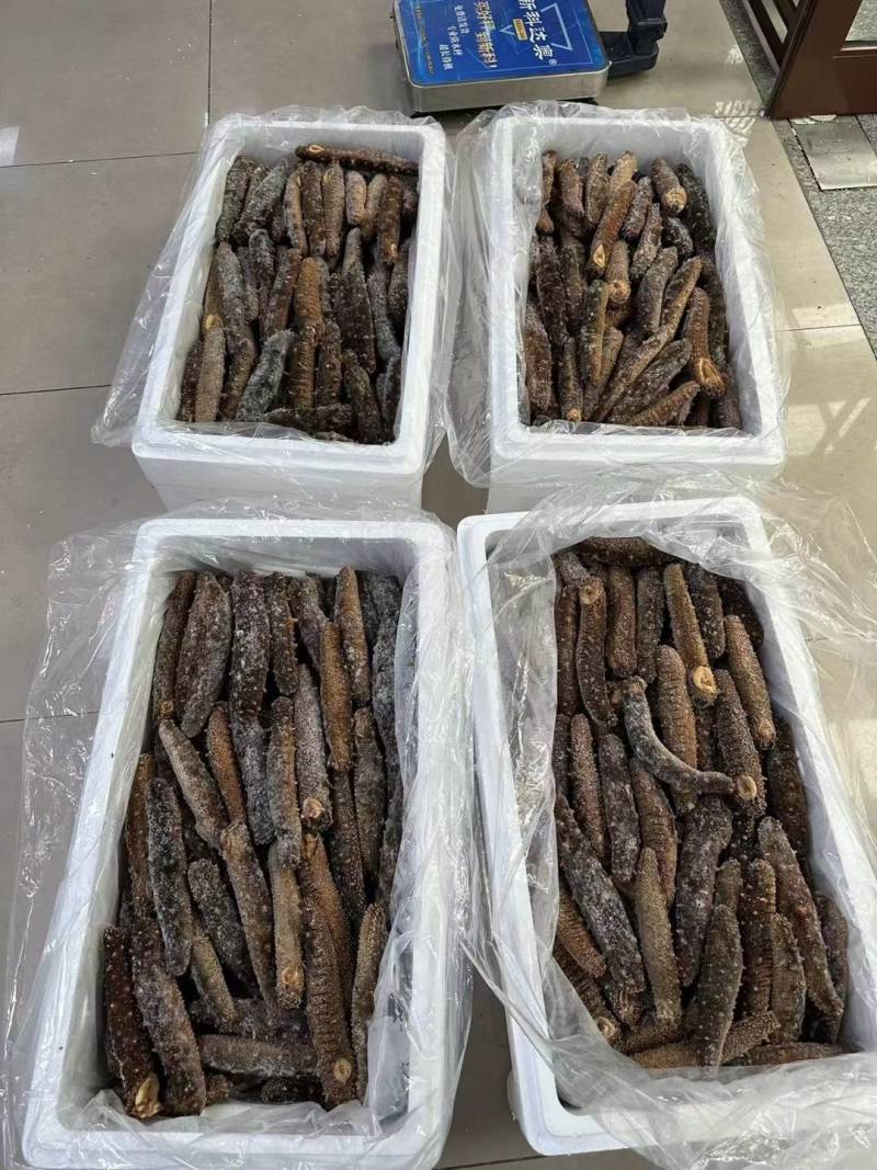 阿拉斯加冻煮海参，阿拉斯加原货