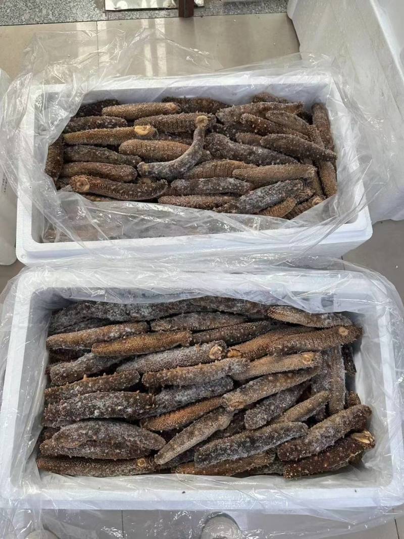阿拉斯加冻煮海参，阿拉斯加原货