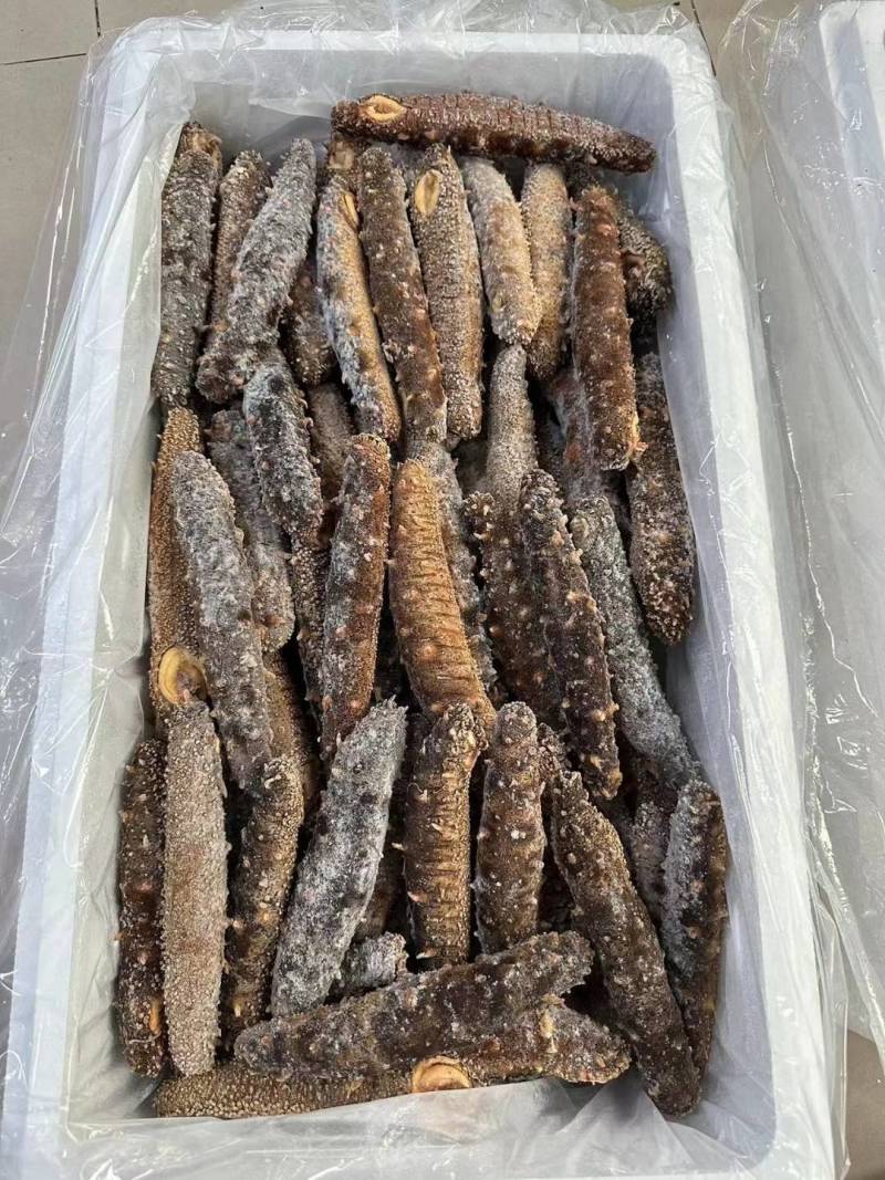 阿拉斯加冻煮海参，阿拉斯加原货