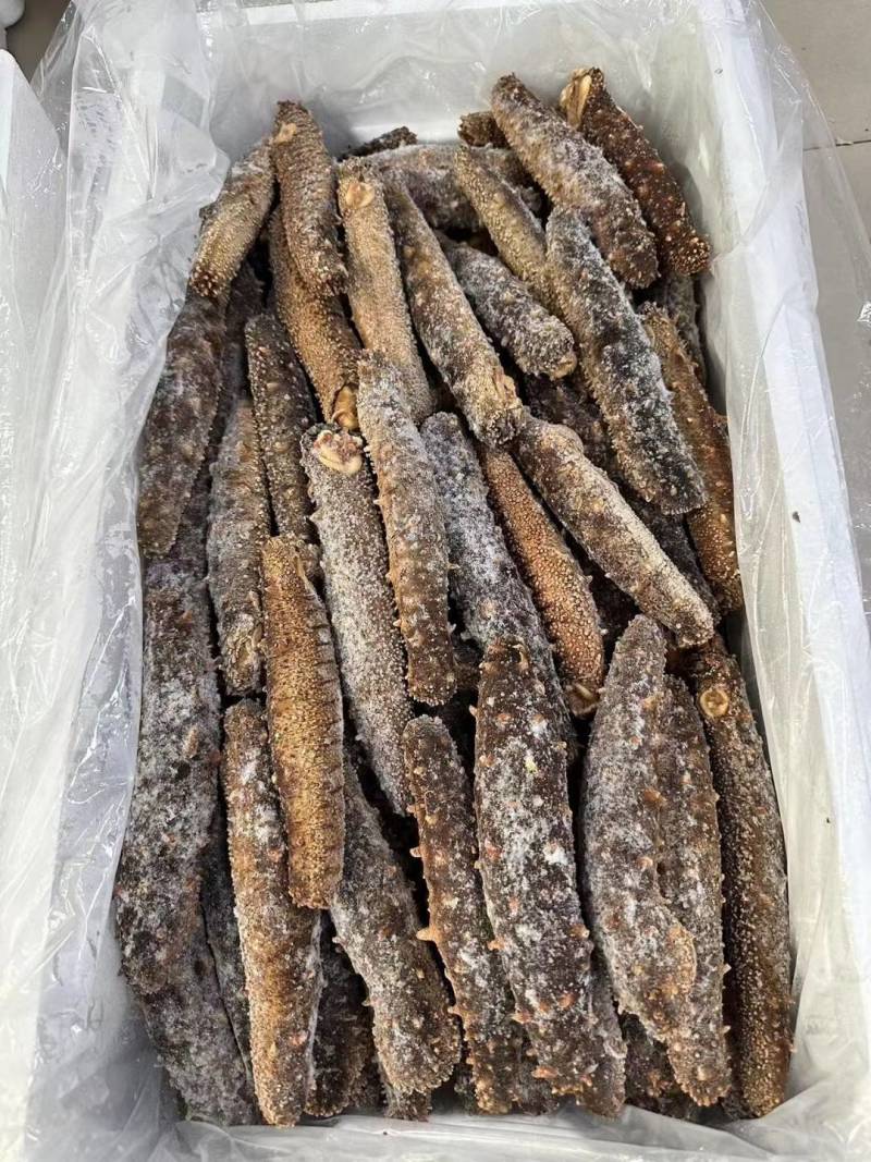 阿拉斯加冻煮海参，阿拉斯加原货