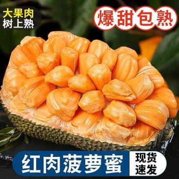 【A货】越南红肉菠萝蜜承接商超社团电商供货代发大果肉包甜