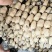 精大飘花莲藕、商超品质/冷链运输产地直发