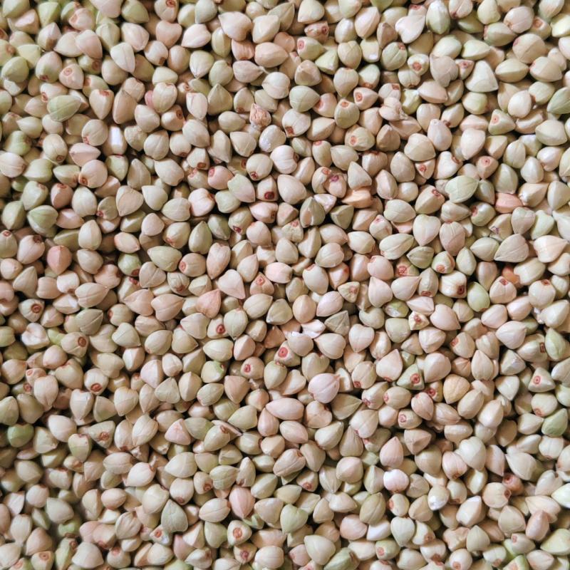 荞麦米当季新货颜色好。酿酒磨面煮粥无糖减脂。