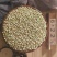 荞麦米当季新货颜色好。酿酒磨面煮粥无糖减脂。