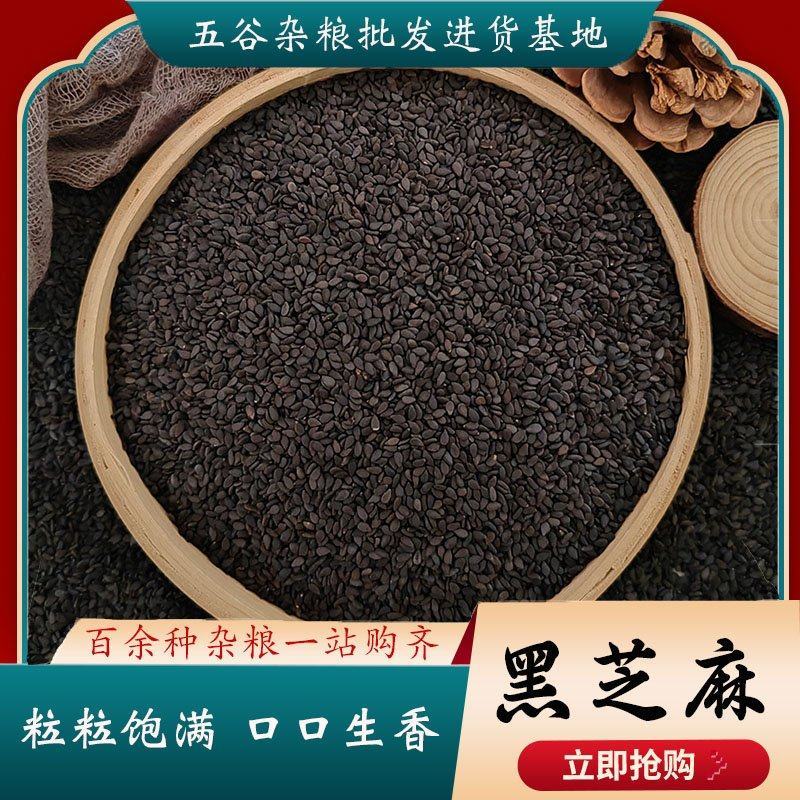 黑芝麻今年新货油芝麻糠芝麻。食品米油料米各规格齐全大量