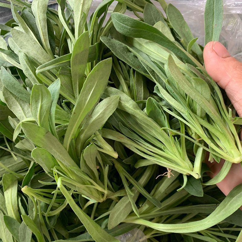 山东面条菜野菜量大优惠全国发货，对接市场商超等