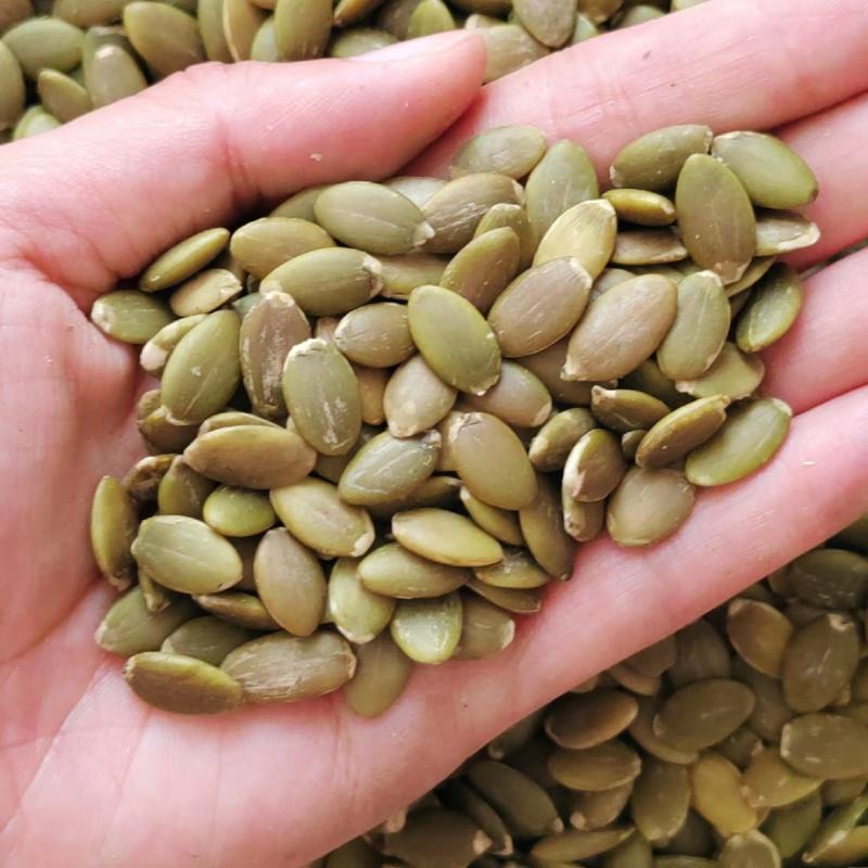 生南瓜子仁颜色好烘焙原料口感好大量现货视频看货