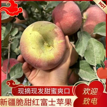 新疆阿克苏红富士高次纸袋整车走货欢迎致电