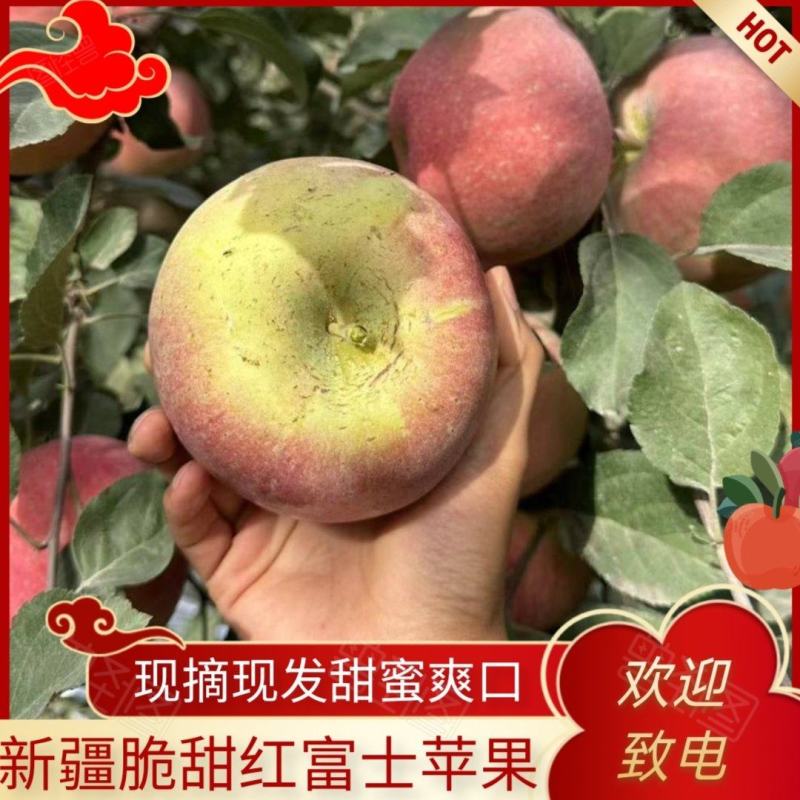 新疆阿克苏红富士高次纸袋整车走货欢迎致电
