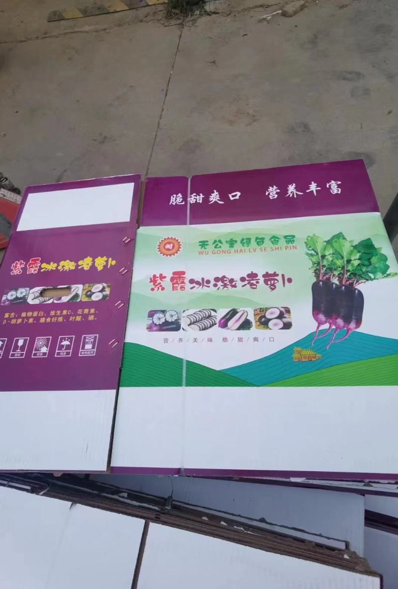 冰糖心，冰激凌精品水果萝卜种植面积广货源充足大量现货