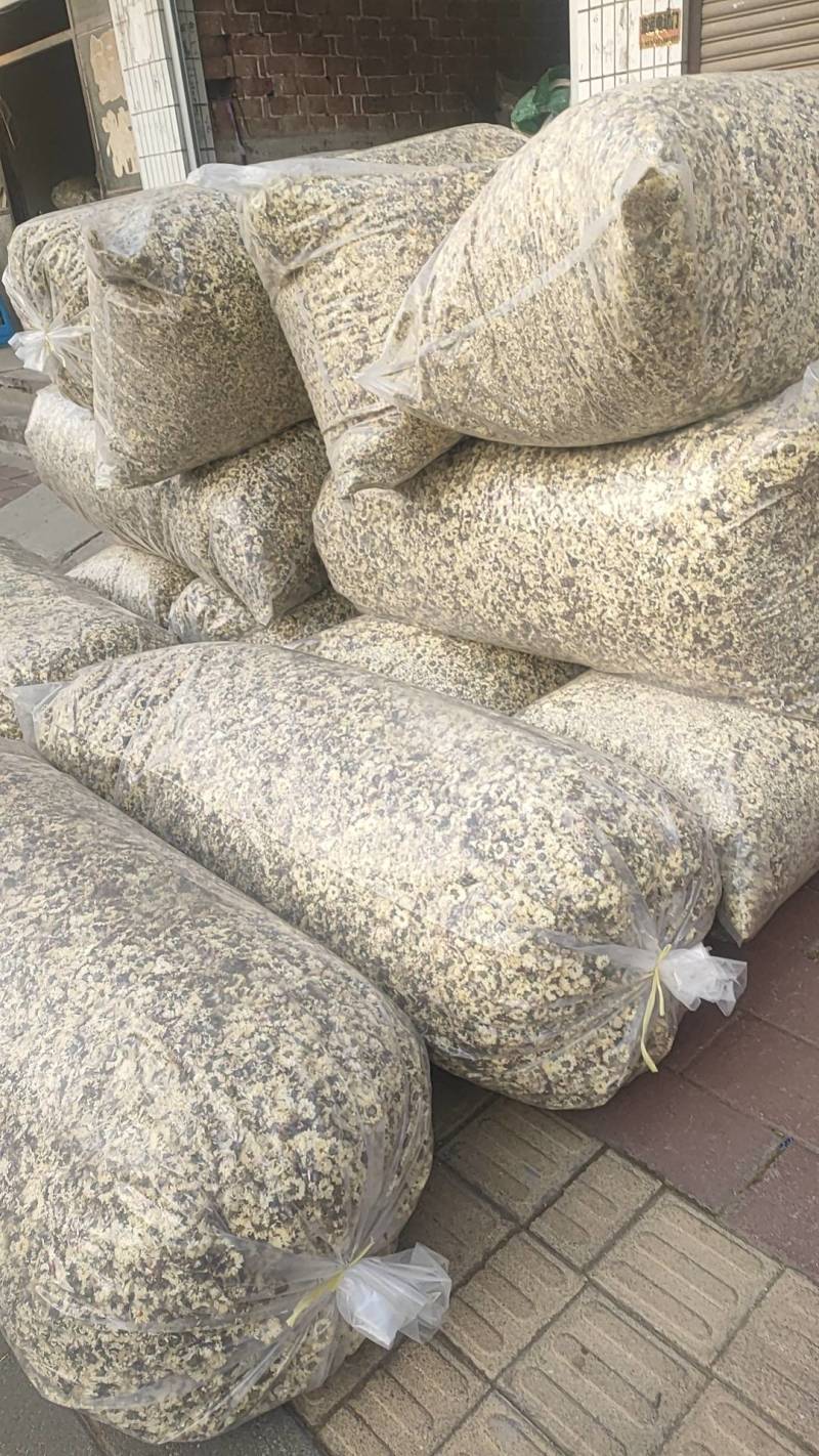 生烤北京菊朵花大量有货诚信经营品质保证欢迎老板电话联系