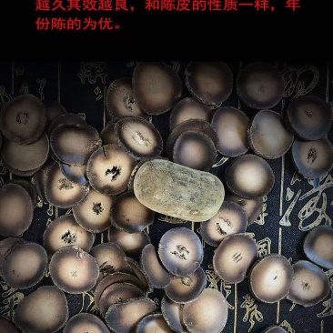 产地正毛化橘红一手货源品质保证可现场看货