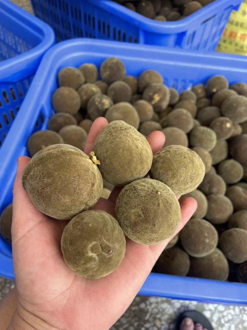 产地正毛化橘红一手货源品质保证可现场看货