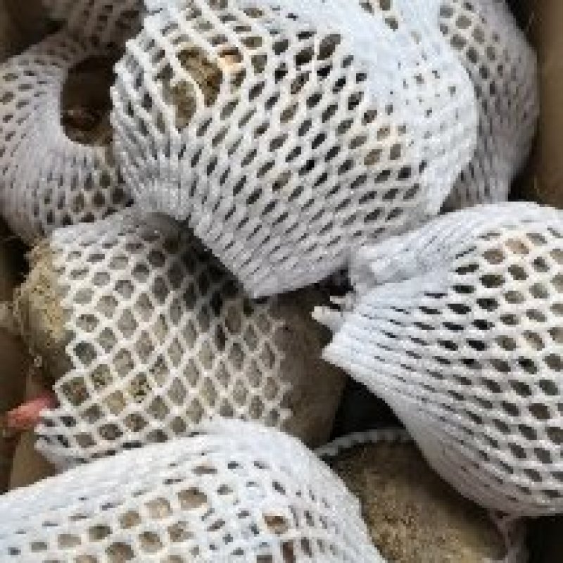正宗花魔芋，保质保量，量大从优，诚信经营，以客户要求发
