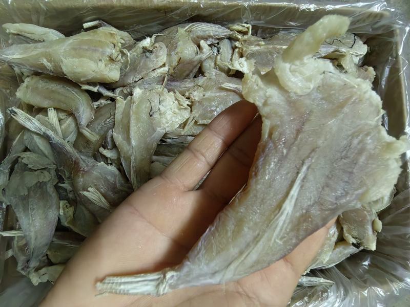 全肉鸡腿鱼干渔民自晒海鱼干鸡腿鱼干扒皮鱼肉厚无刺