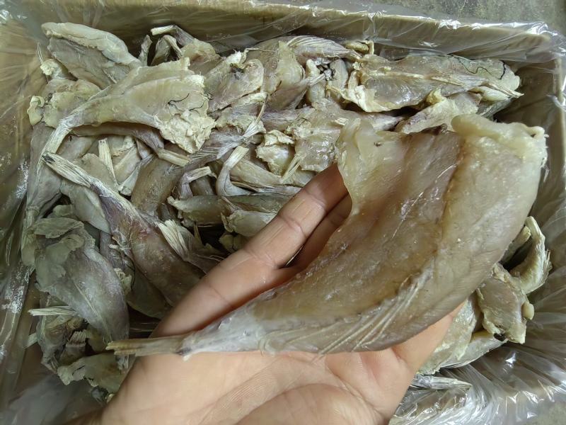 全肉鸡腿鱼干渔民自晒海鱼干鸡腿鱼干扒皮鱼肉厚无刺