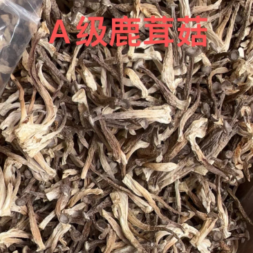 鹿茸菇，一件10斤装，长条无碎菜，货**干🌹