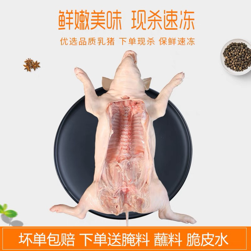 冻乳猪/小乳猪/活猪/烤乳猪新鲜屠宰去毛去内脏/全国包邮