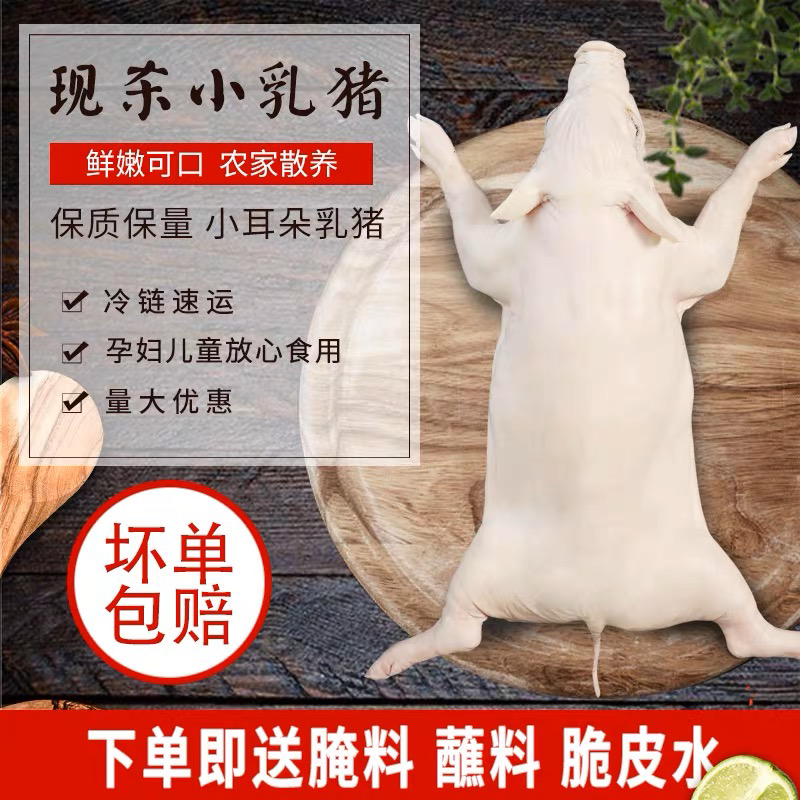 冻乳猪/小乳猪/活猪/烤乳猪新鲜屠宰去毛去内脏/全国包邮