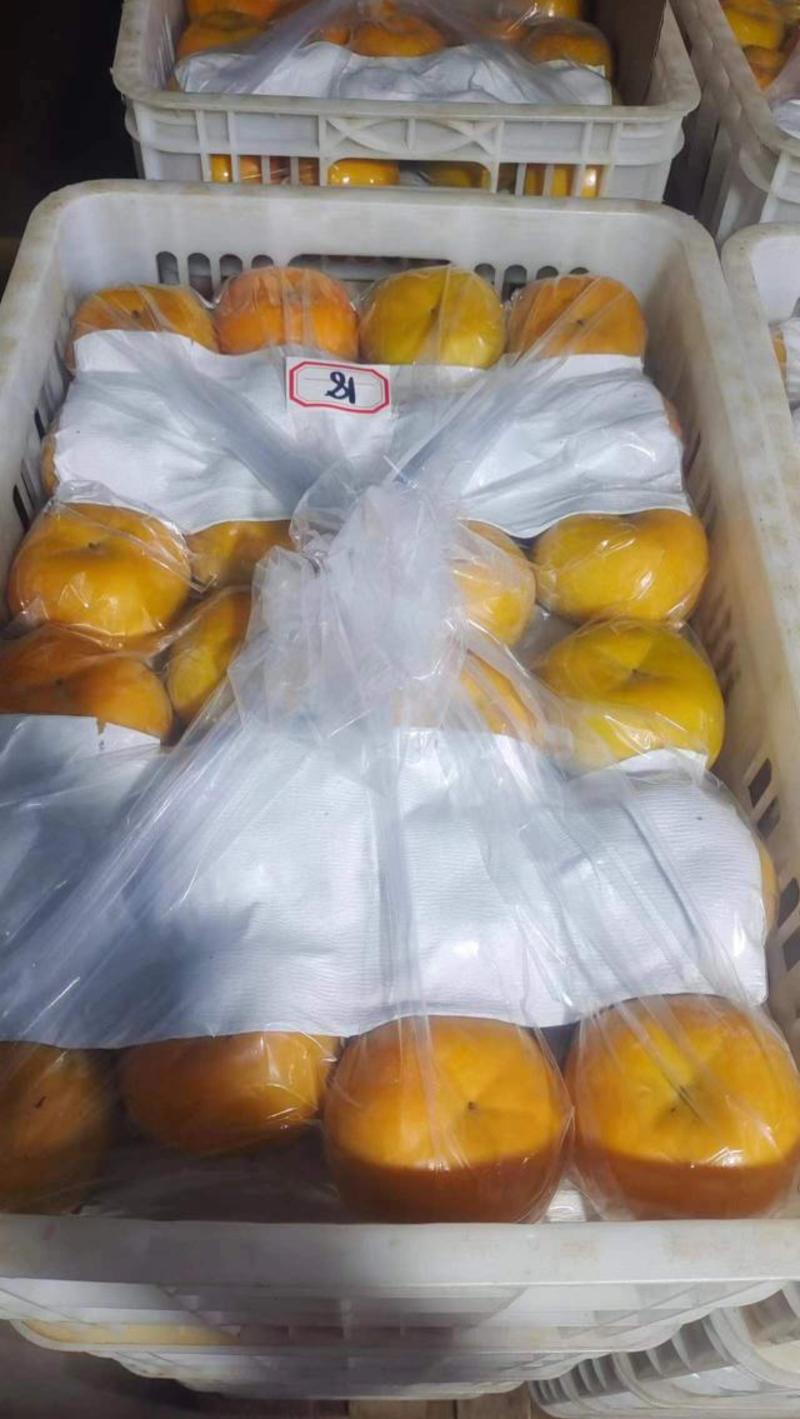 广西桂林恭柿饼大量供应保质保量新鲜加工对接全国客户可咨询