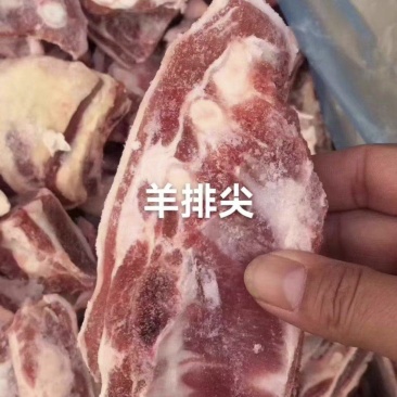 羊排精品羊排尖一手货源价格实惠全国冷链发货