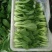 大棚叶菜