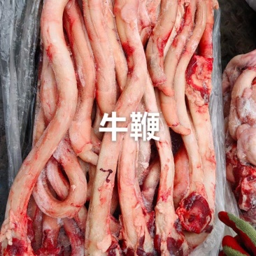 牛鞭A级货优质产品质量保障一手货源全国冷链物流发货