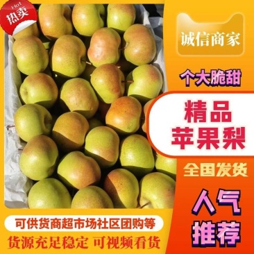 精品梨苹果梨货源充足量大从优质量保证欢迎咨询