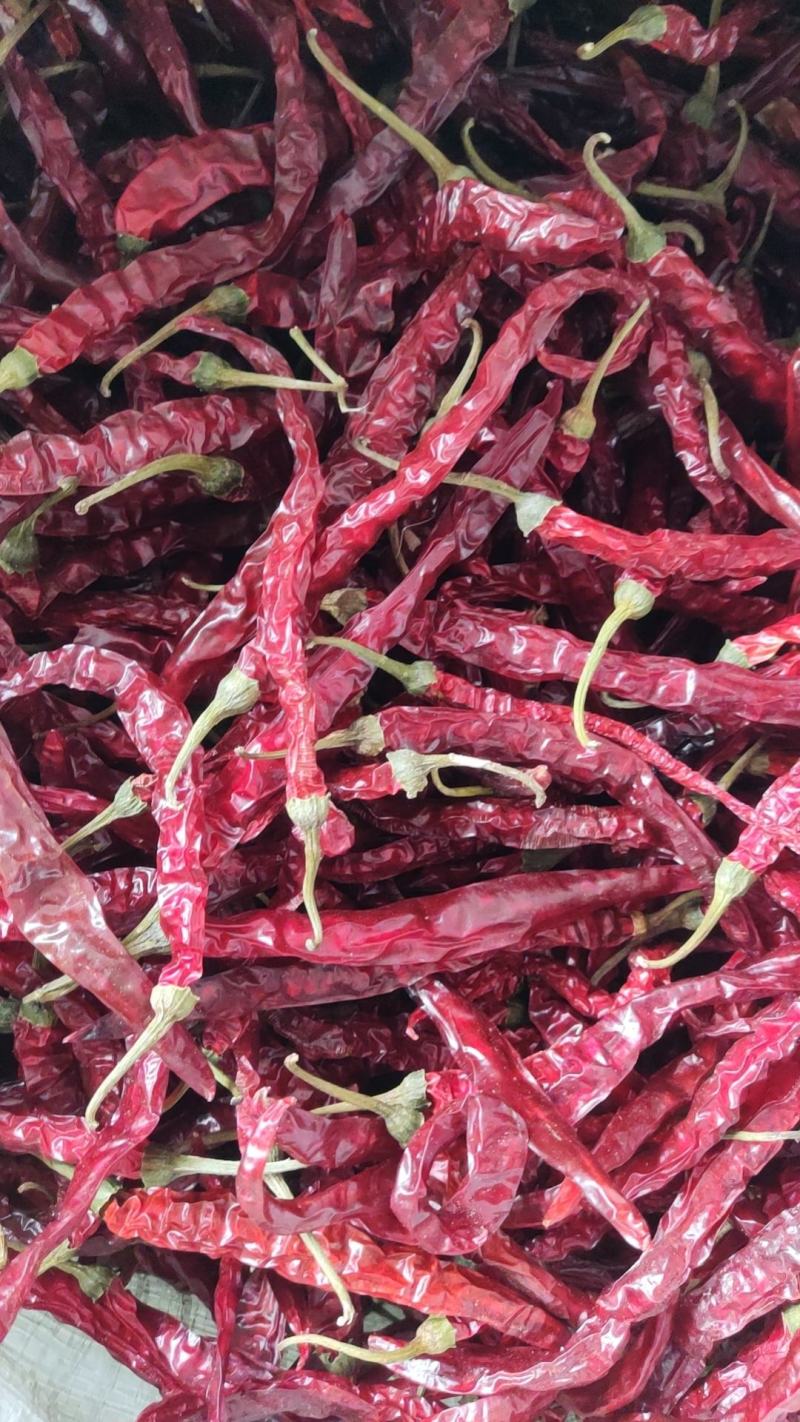 二荆条，贵州常年供应贵州辣椒，收售辣椒