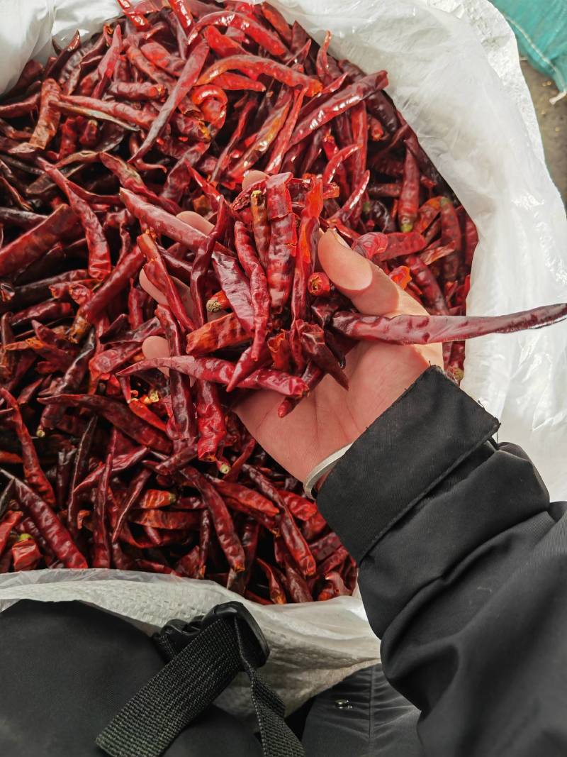 丘北辣丘二号干椒