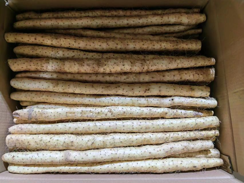 白扁豆食谱示意图