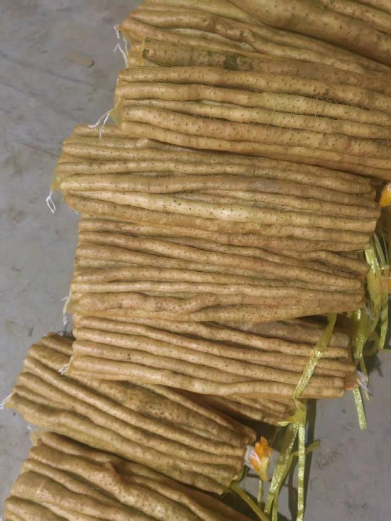 小白嘴山药电商专用网包装对接全国客商河北安平产地直发