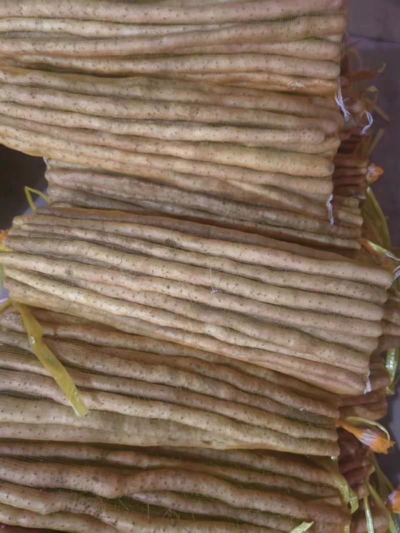 小白嘴山药电商专用网包装对接全国客商河北安平产地直发