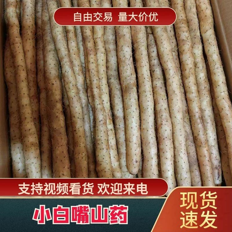 小白嘴山药电商专用网包装对接全国客商河北安平产地直发