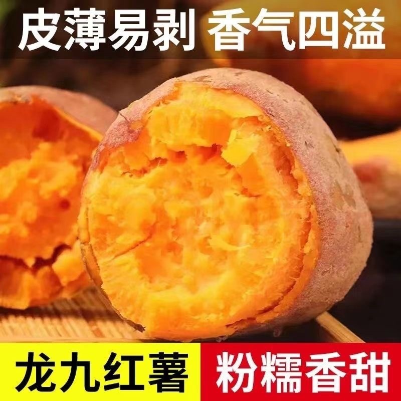 精选龙薯九号大量上市，价格优惠，货源充足，欢迎采购