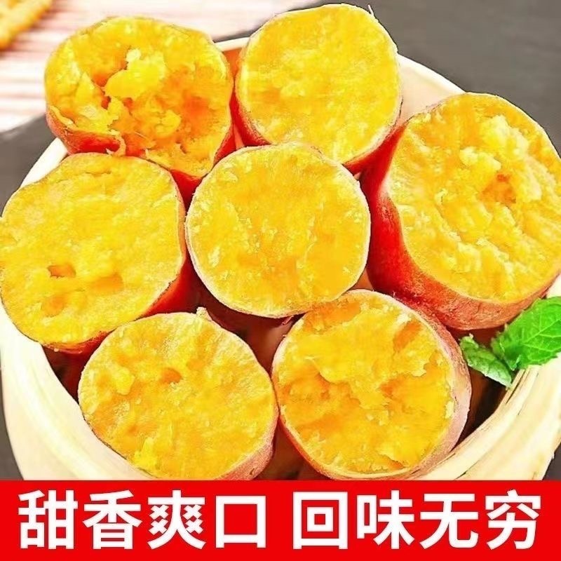 精选龙薯九号大量上市，价格优惠，货源充足，欢迎采购