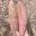 烟薯25蜜薯糖心软糯香甜产地一手货源今年新货价格合适