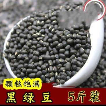 绿豆农家绿豆绿豆去皮绿豆熬粥绿豆汤5斤装包邮