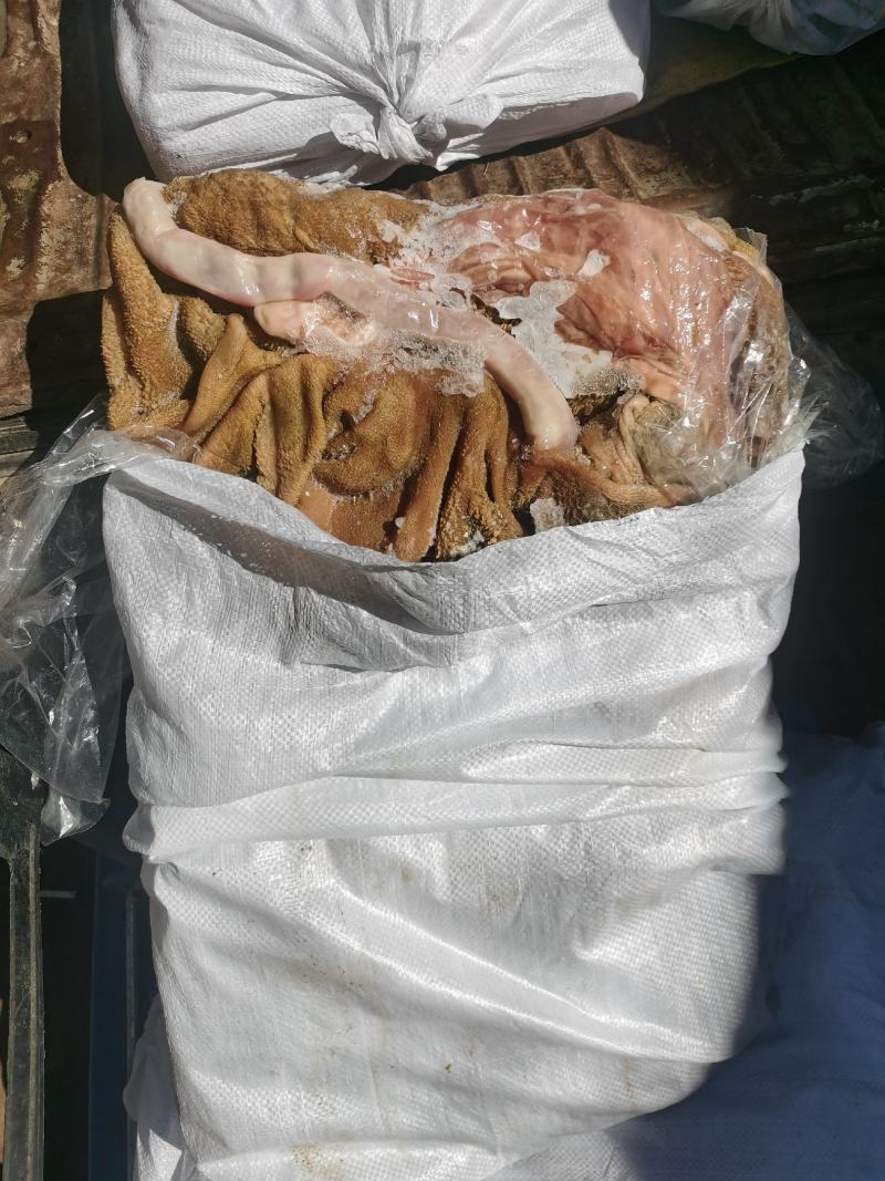 新鲜羊蹄火烧羊蹄型号齐全一手货源可视频看货